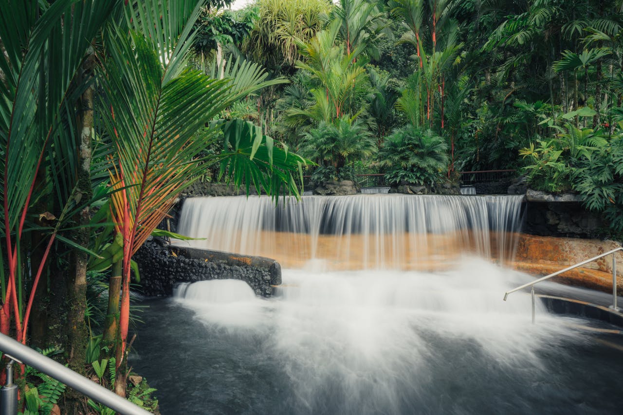 Tranquil waterfall surrounded by lush tropical foliage in Costa Ricas vibrant rainforest.